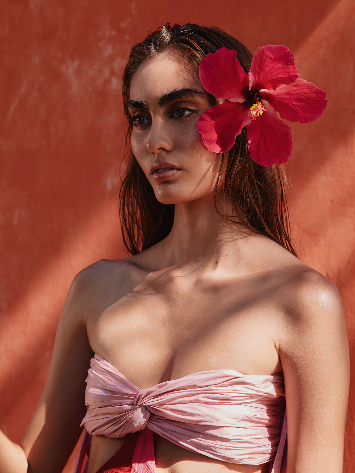 Cata Dress | Old Rose with Red Cata Dress | Old Rose with Red