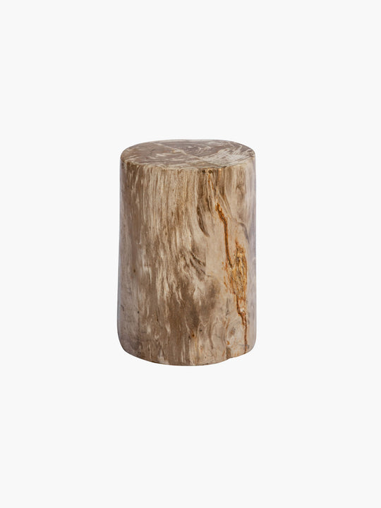 Fossilized Wood Log | Natural