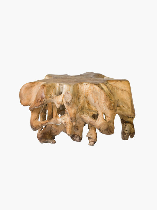 85cm Coffee Table Teak Root