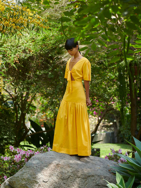 Colibri Dress