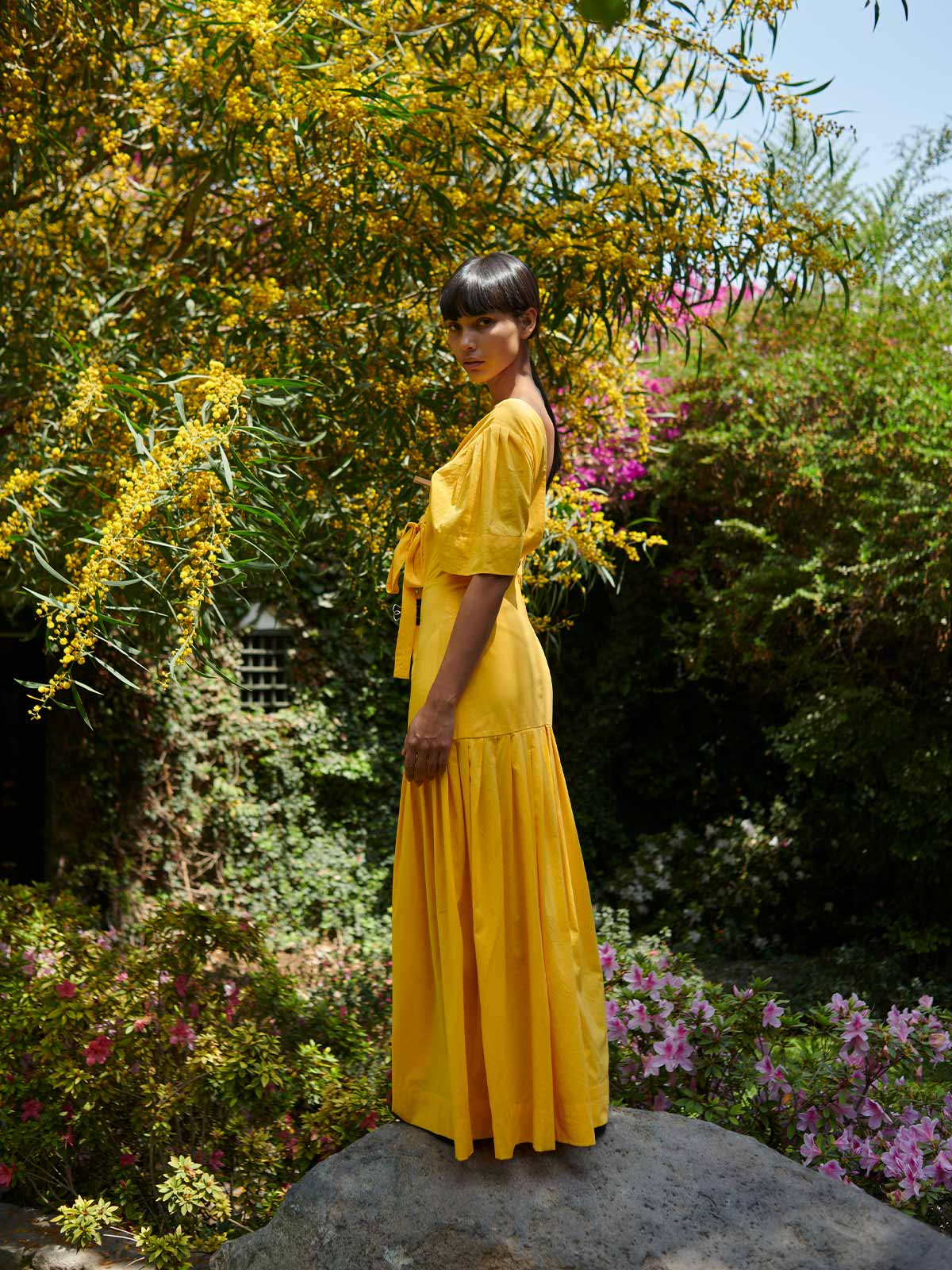 Colibri Dress Colibri Dress