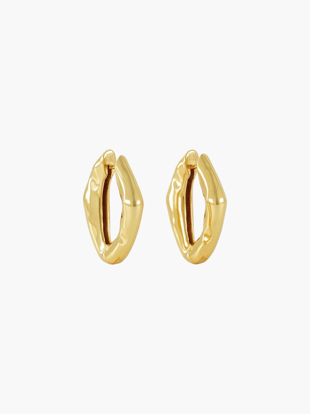 The Hoop Earrings | Gold The Hoop Earrings | Gold