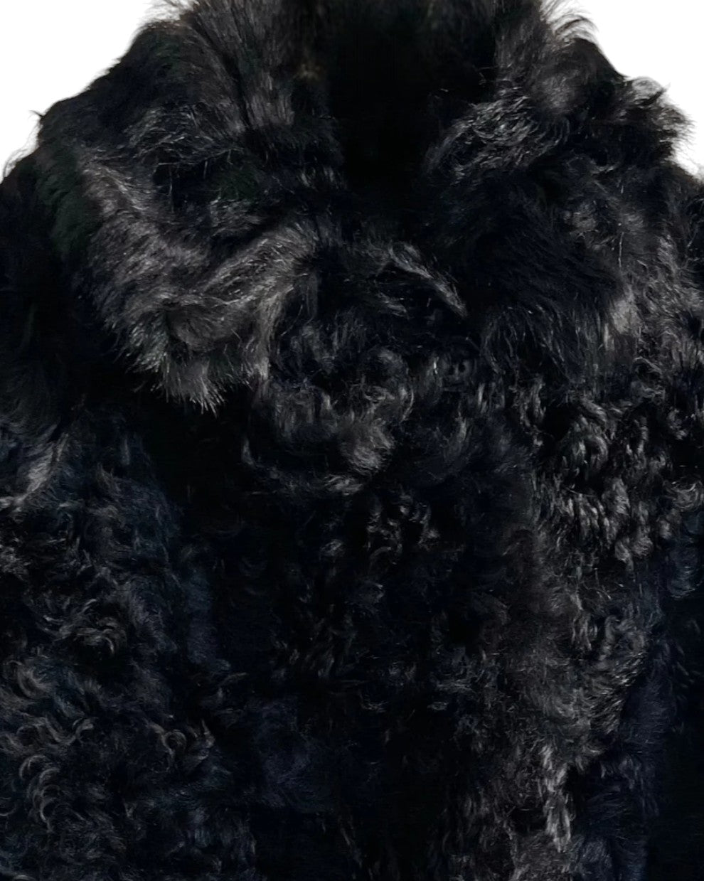 Exclusive Marcus Coat | Black Exclusive Marcus Coat | Black