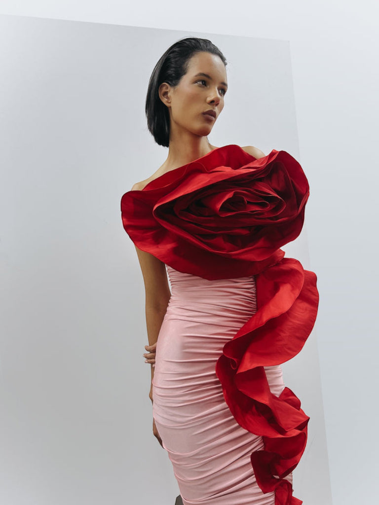 Rosa America Dress | Fashionkind