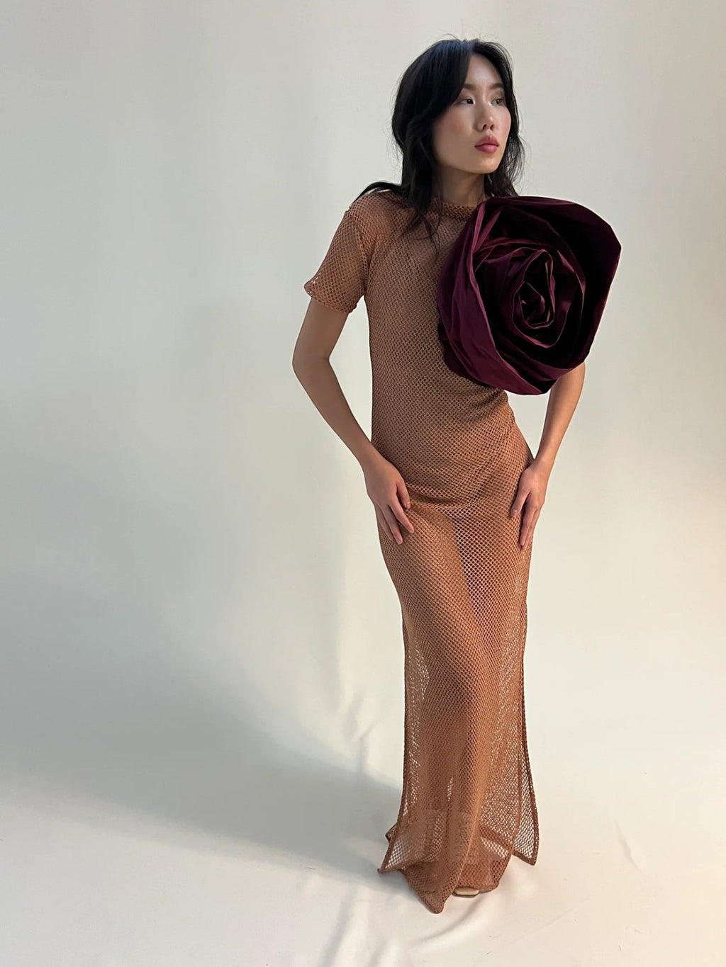 Rosa Mesh Dress