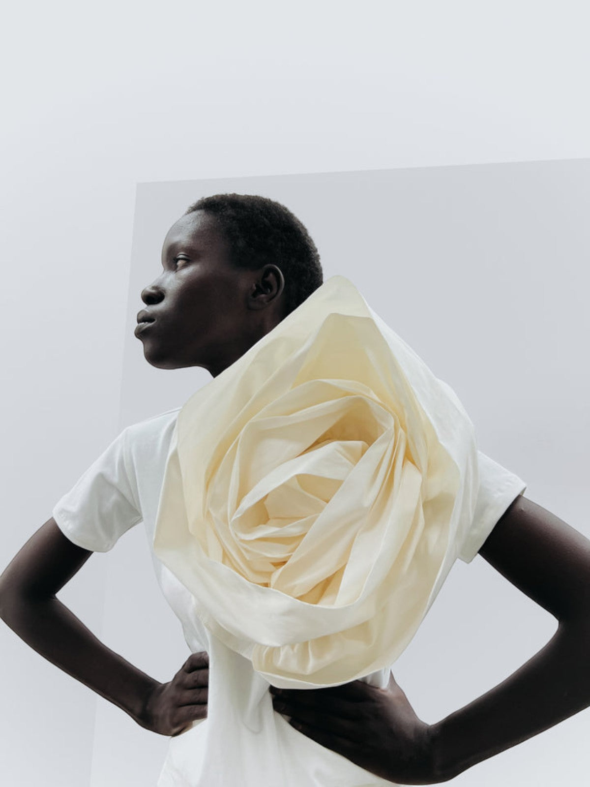 Rosa T-Shirt Rosa T-Shirt