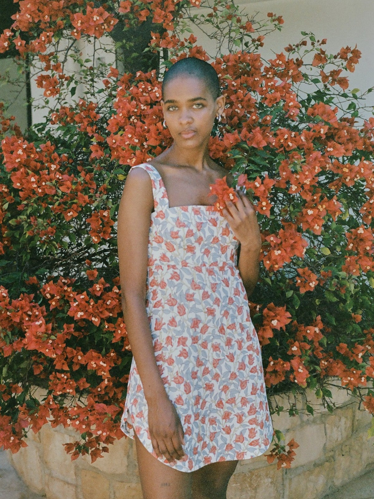 bougainvillea dress