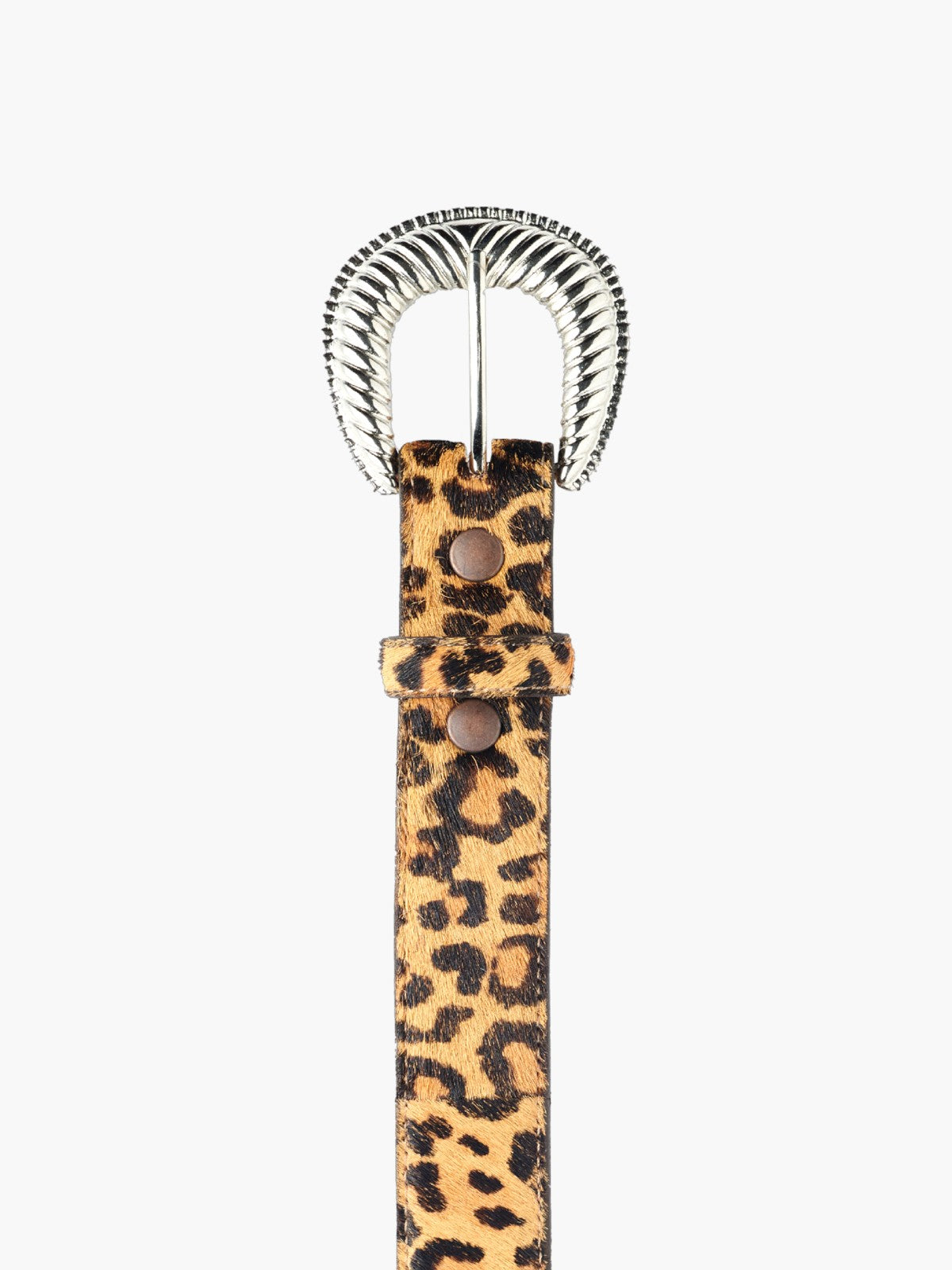 Sander Belt | Leopard Sander Belt | Leopard
