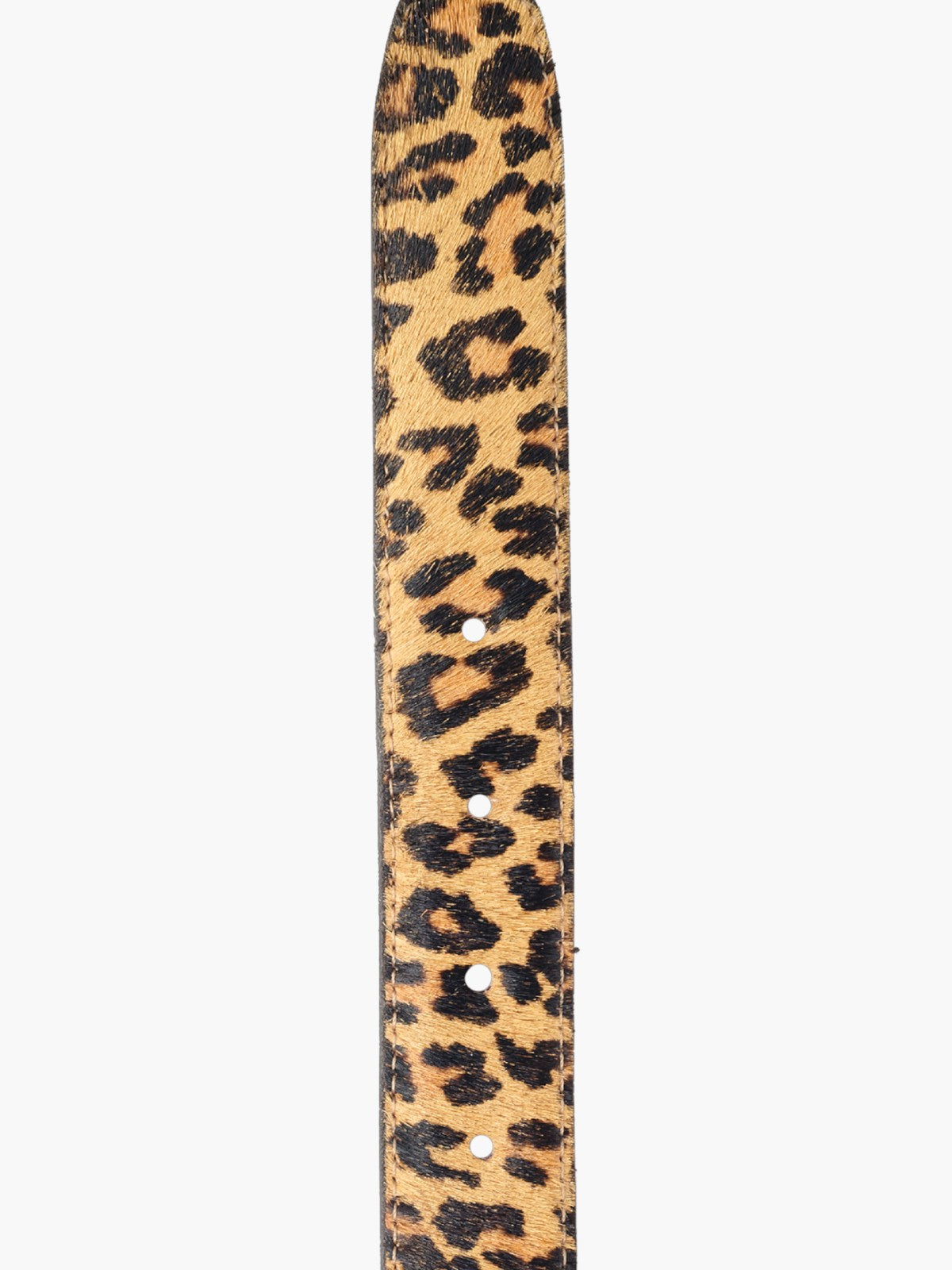 Sander Belt | Leopard Sander Belt | Leopard