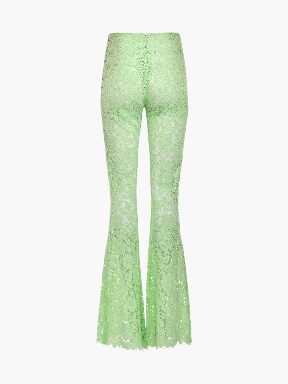 Celia Lace Pants | Green Celia Lace Pants | Green