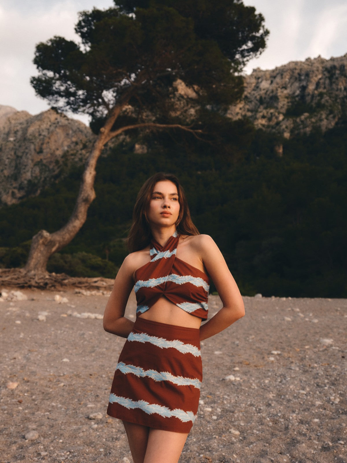 Carmelita Hand Embroidered Cotton Mini Skirt | Chocolate Striped Helechos