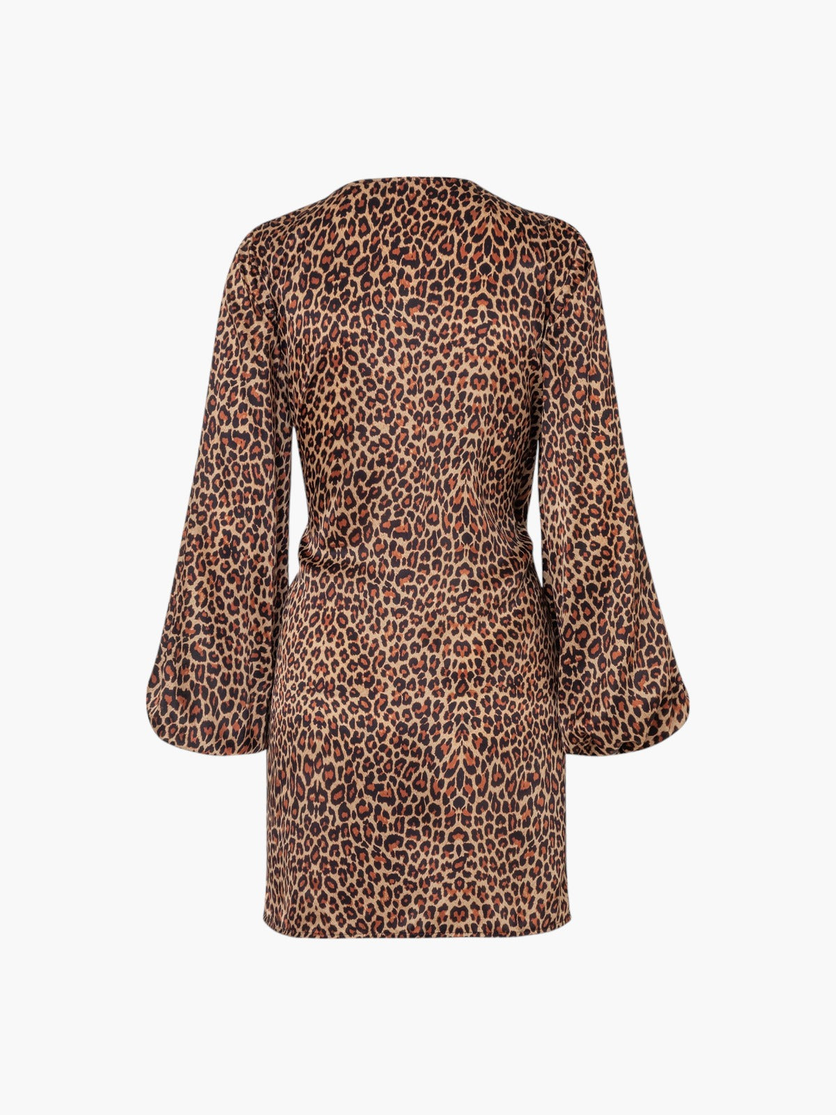 Hojarasca Silk Satin Mini Dress | Jaguar Print Hojarasca Silk Satin Mini Dress | Jaguar Print