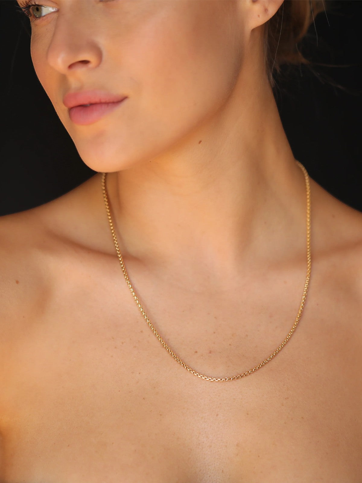 Medium Box Chain Necklace Medium Box Chain Necklace