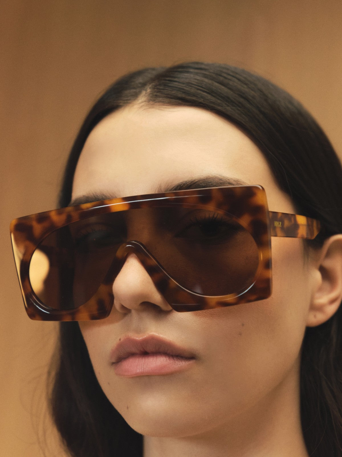 Zermatt Glasses | Tortoise Zermatt Glasses | Tortoise