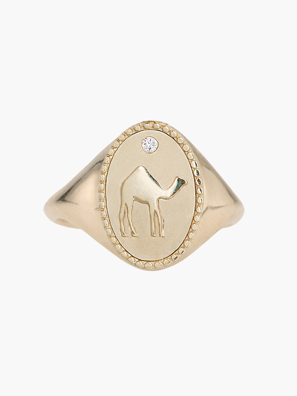 Signet Ring | Camel