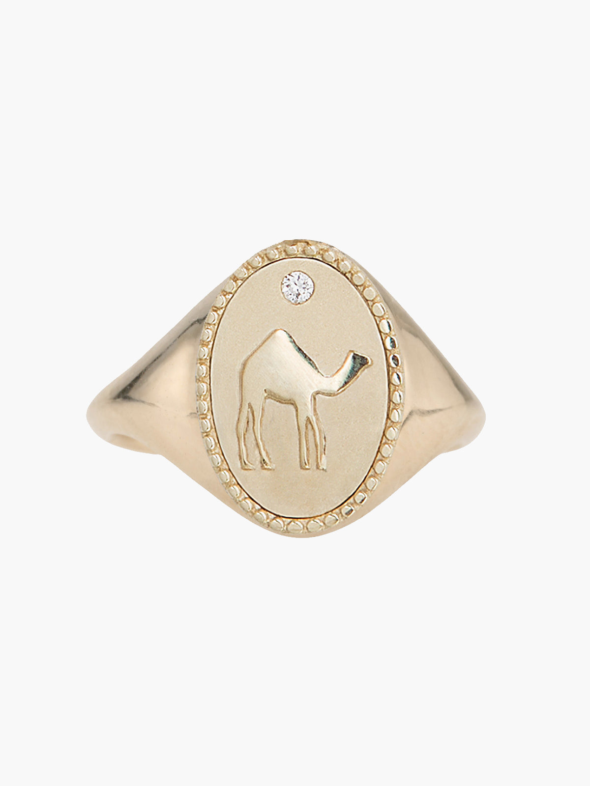 Signet Ring | Camel Signet Ring | Camel
