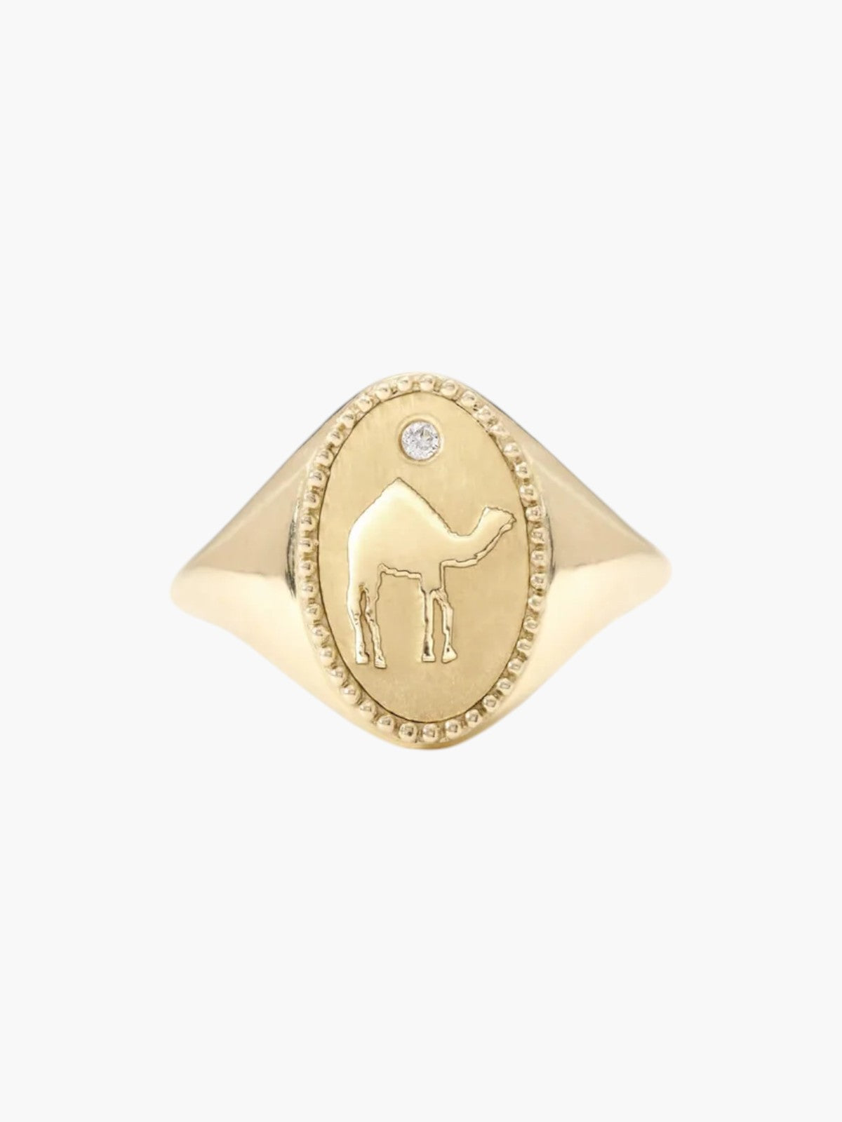 Signet Ring | Camel