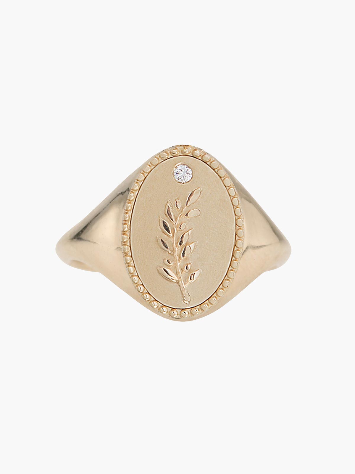 Signet Ring | Olive Branch Signet Ring | Olive Branch