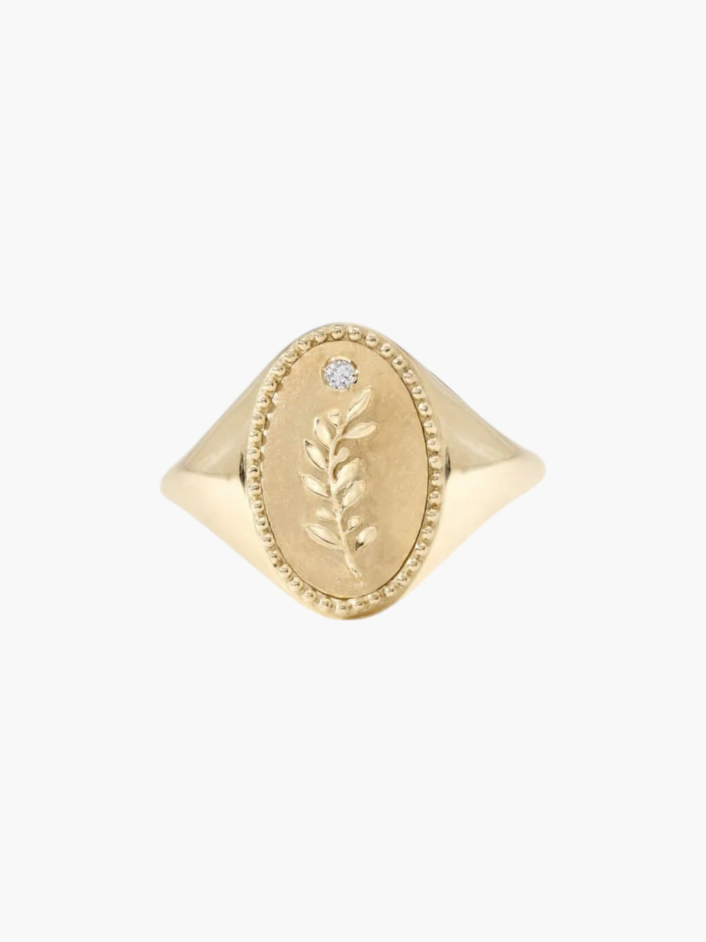 Signet Ring | Olive Branch