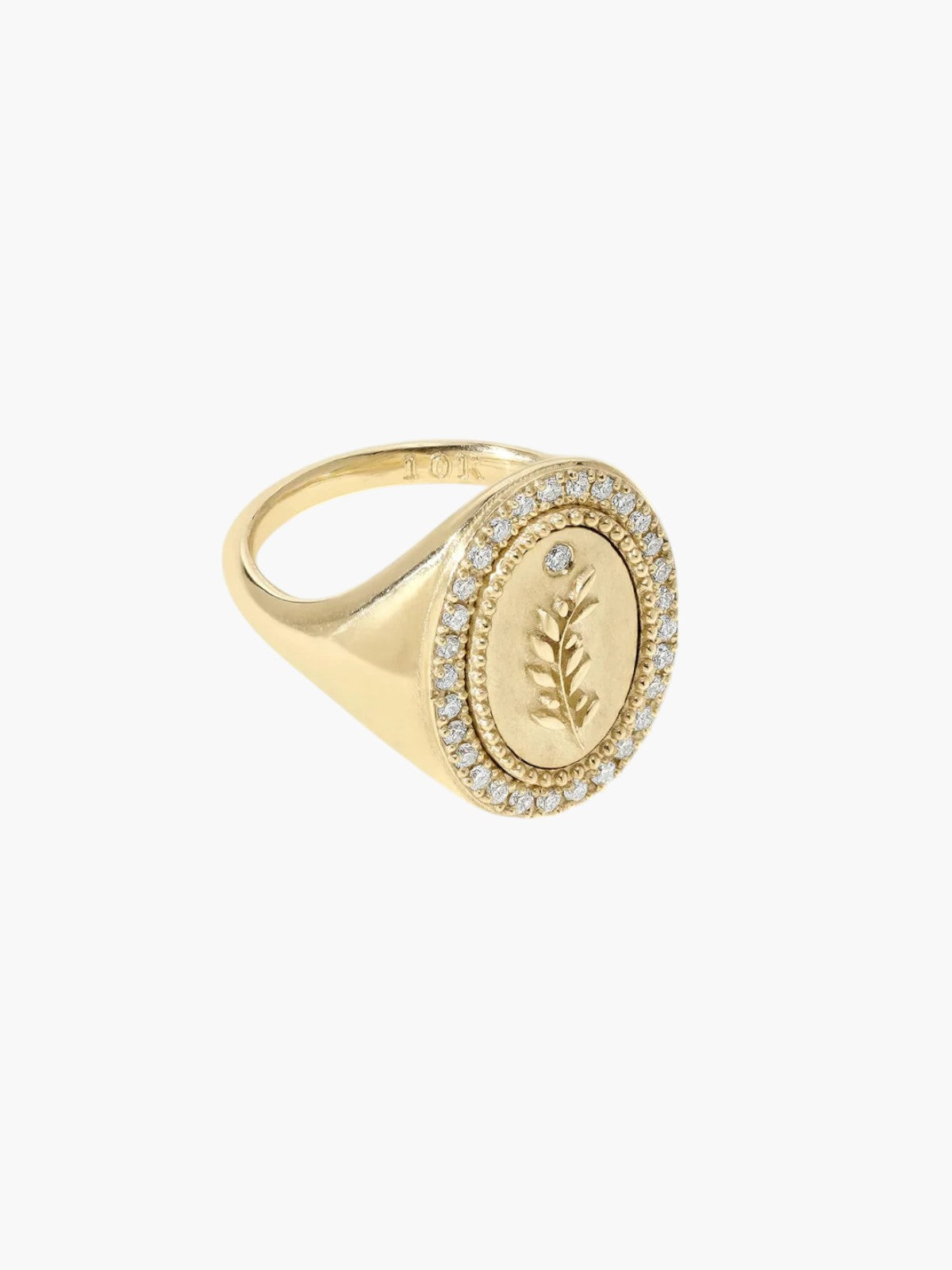 Signet Ring | Olive Branch Signet Ring | Olive Branch