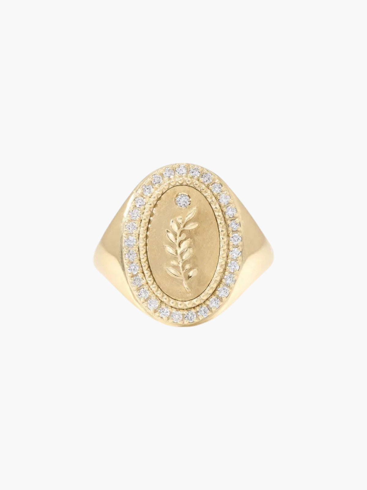 Signet Ring | Olive Branch Signet Ring | Olive Branch