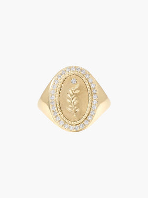 Signet Ring | Olive Branch Signet Ring | Olive Branch