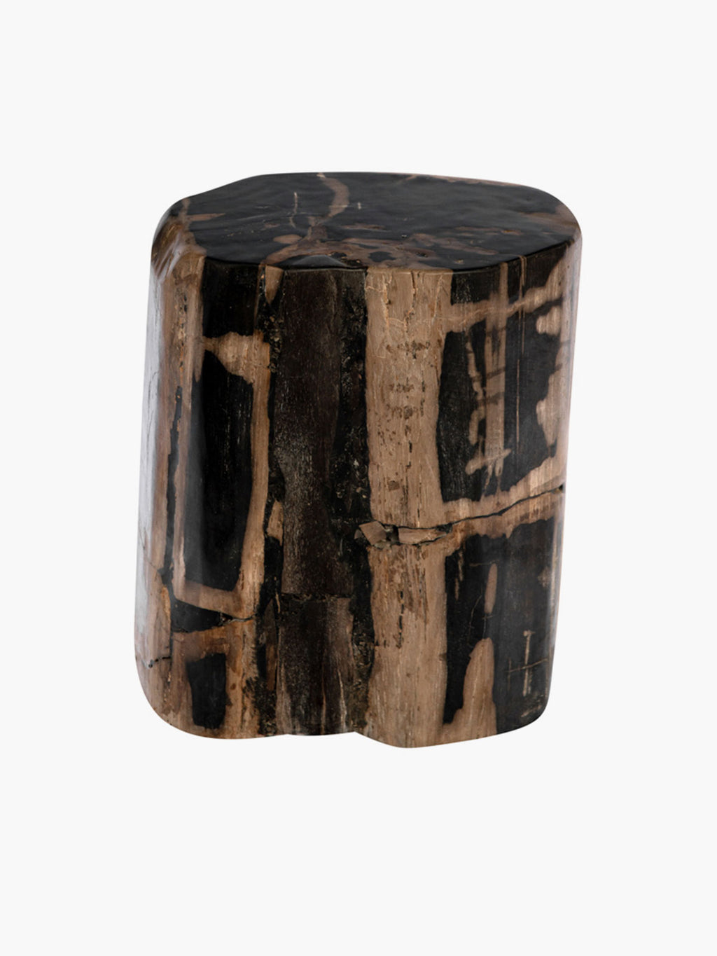 Fossilized Wood Log | Black/Natural