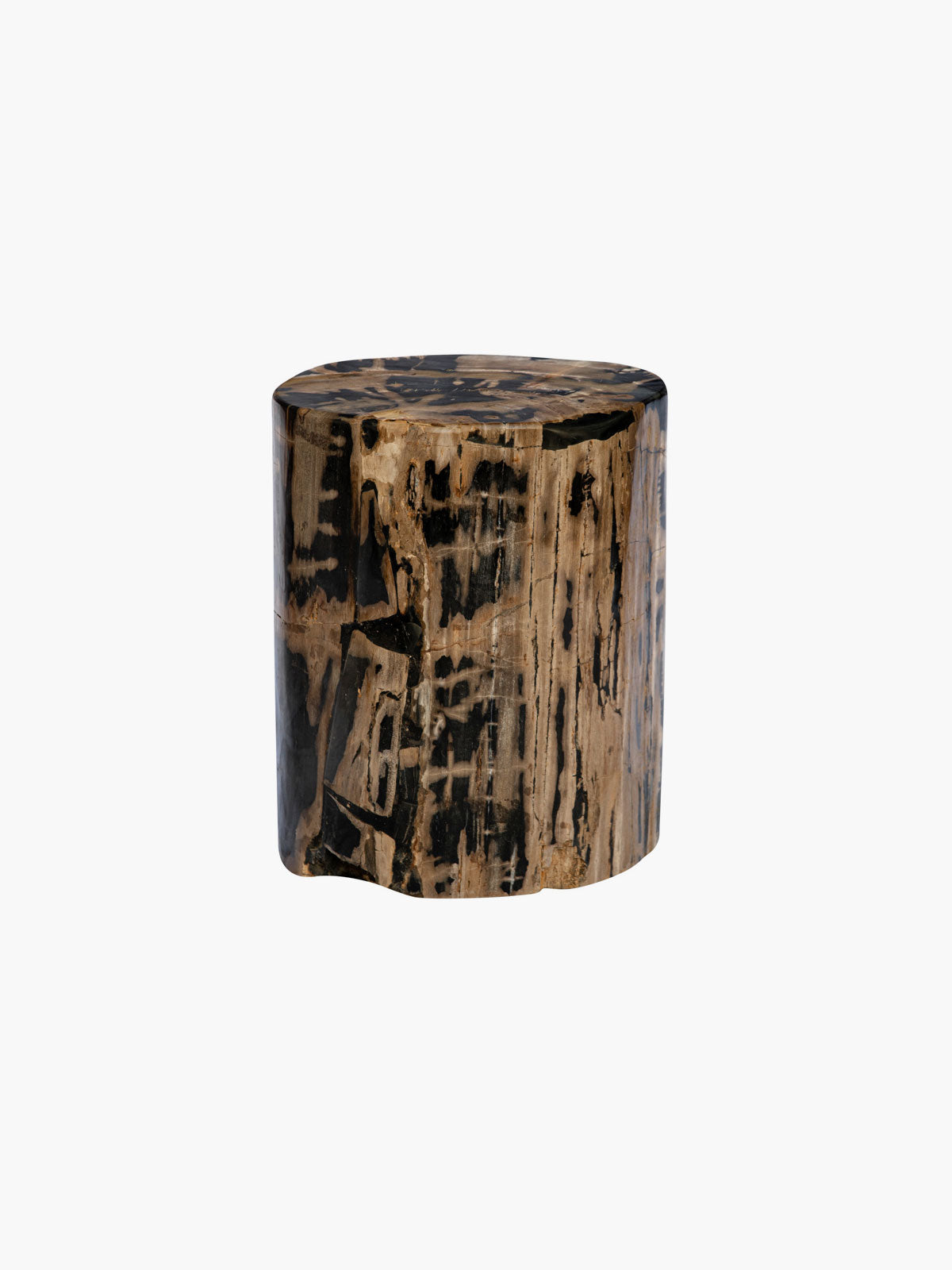 Fossilized Wood Trunk With Black Betas Fossilized Wood Trunk With Black Betas