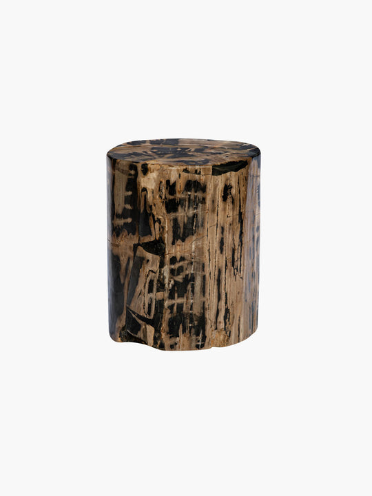 Fossilized Wood Trunk With Black Betas