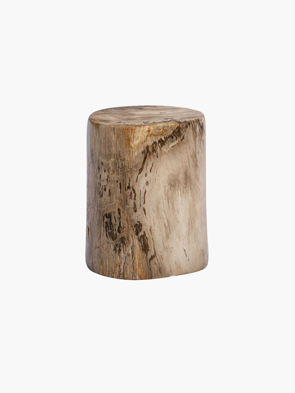 50cm Fossilized Wood Log | Black-Cafe 50cm Fossilized Wood Log | Black-Cafe