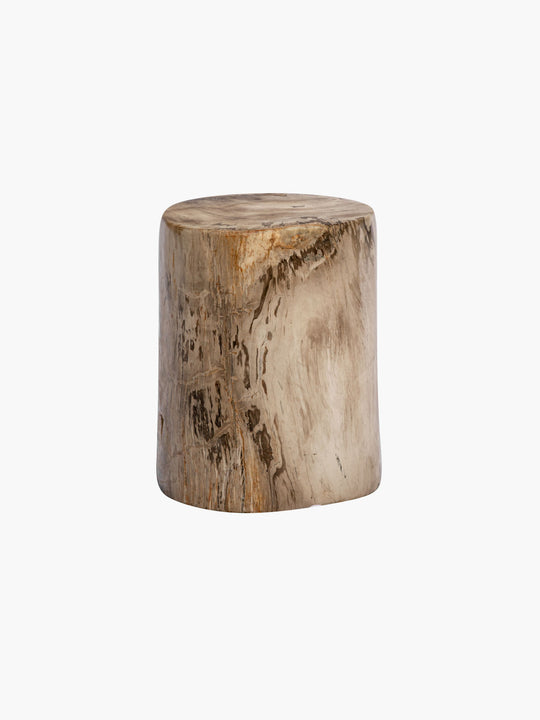 50cm Fossilized Wood Log | Black-Cafe