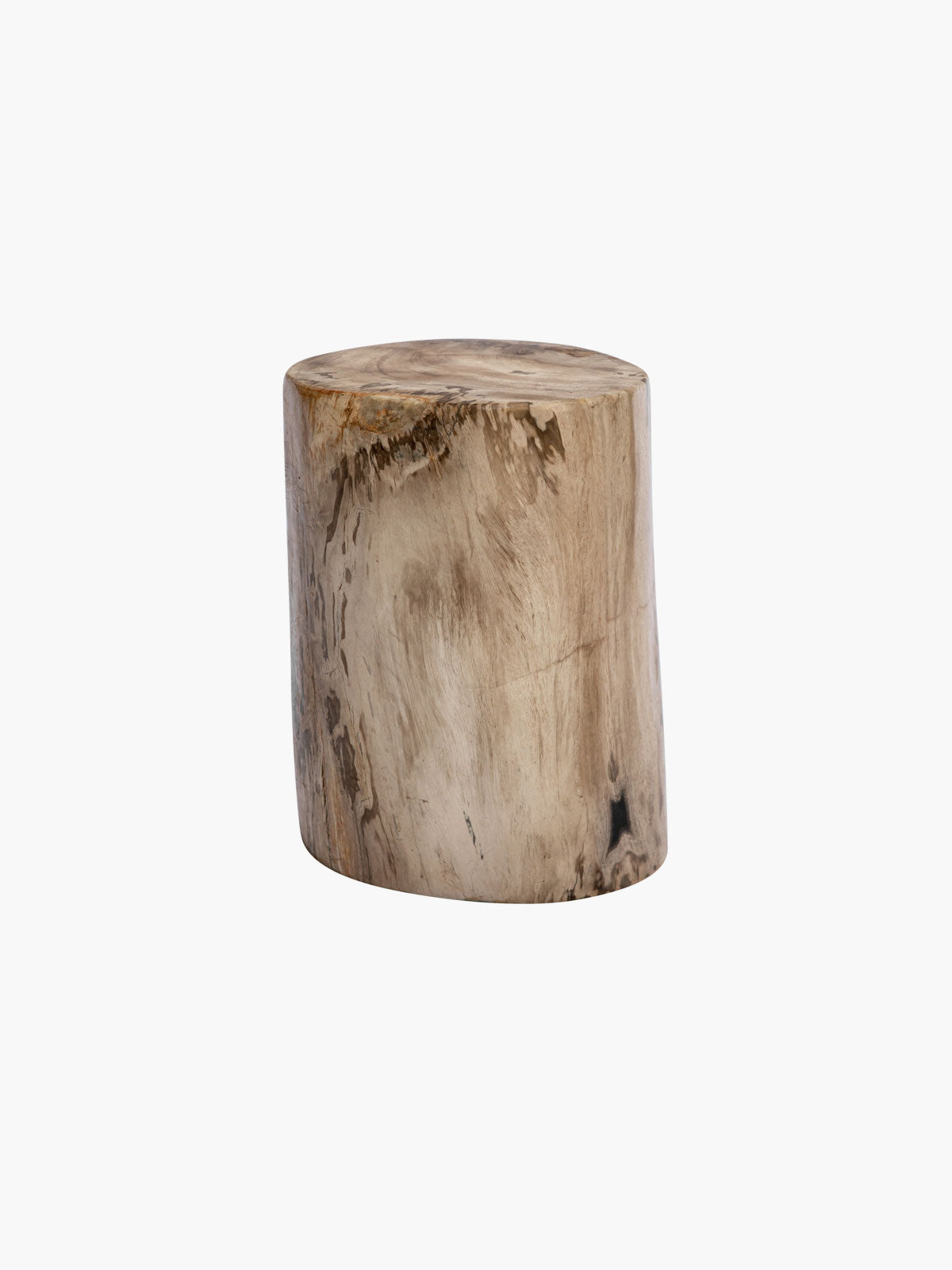 50cm Fossilized Wood Log | Black-Cafe