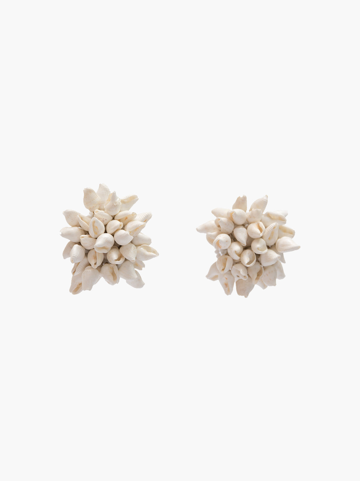 Seashell Stud Earrings | Natural Seashell Stud Earrings | Natural - Fashionkind