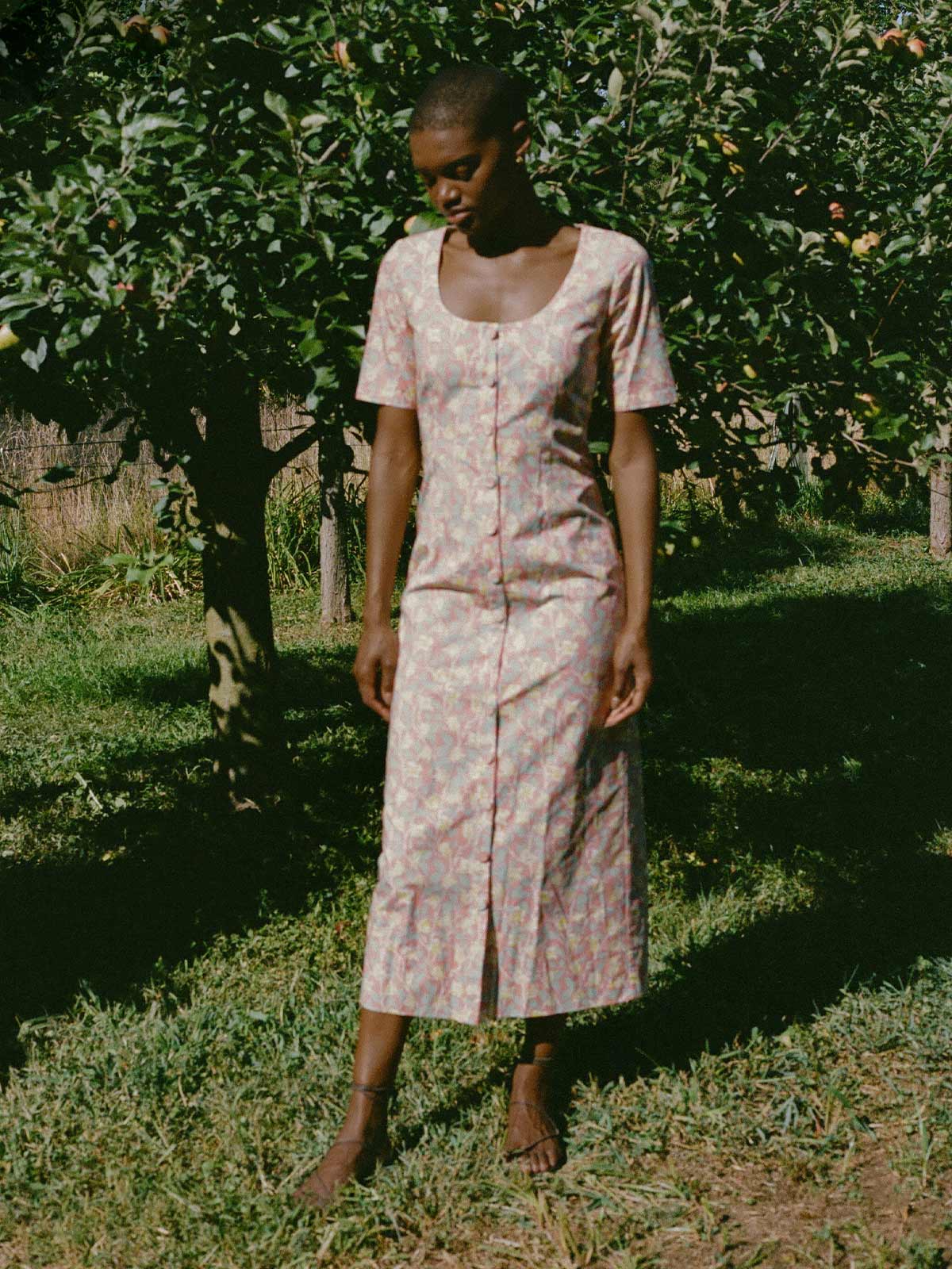 Mod Midi Dress | Coral Bougainvillea