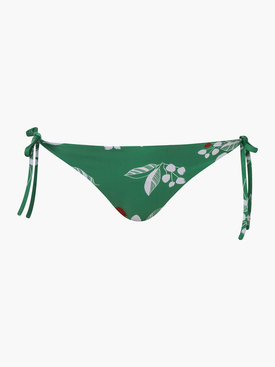 Brazil Bottom | Green Chontaduro/Bright Yellow