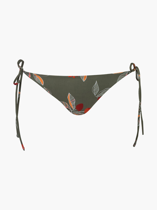 Brazil Bottom | Olive Chontaduro/Orange