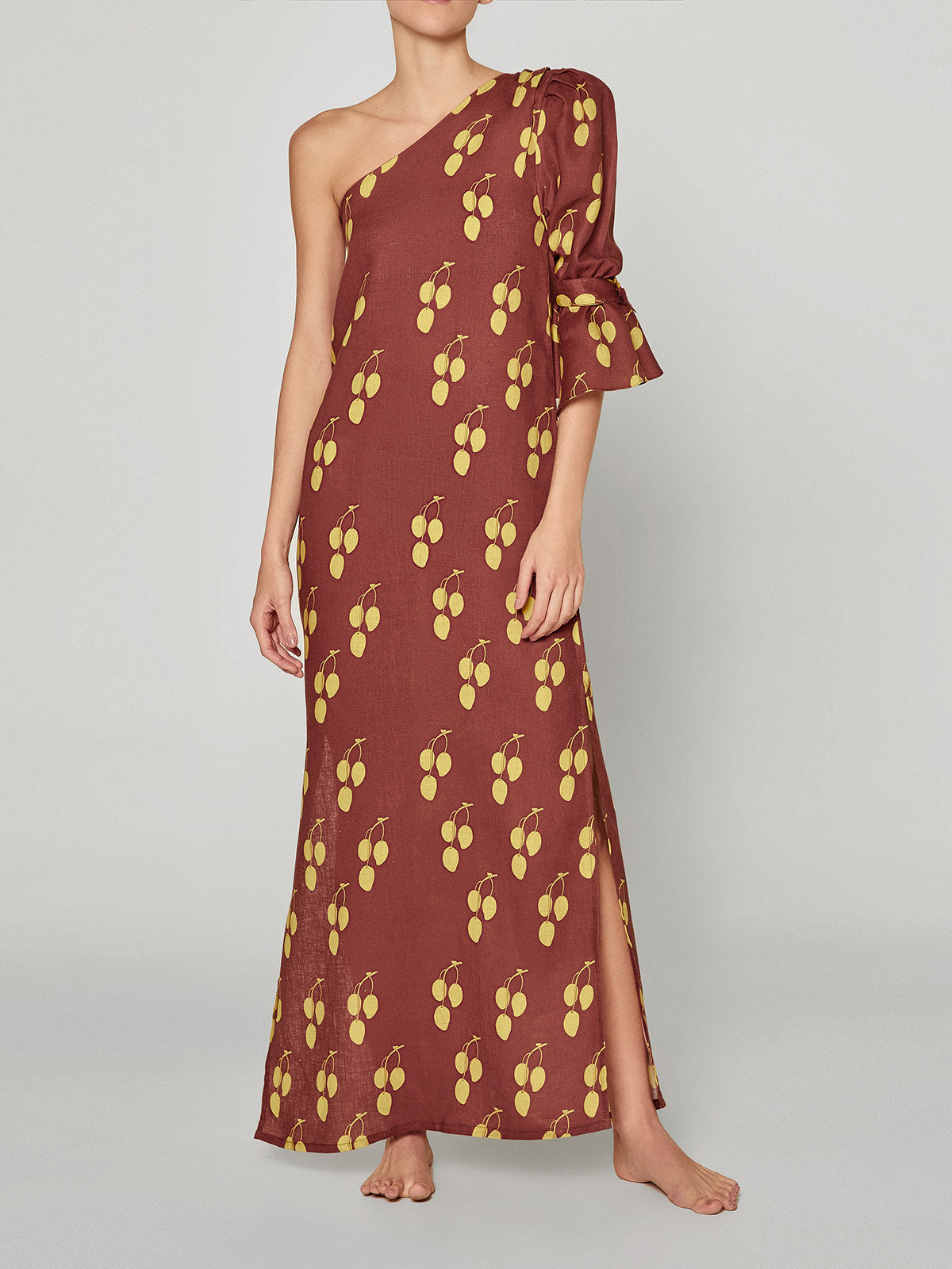 Buenaventura Dress | Brown Mangos Buenaventura Dress | Brown Mangos