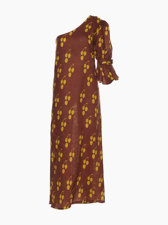 Buenaventura Dress | Brown Mangos