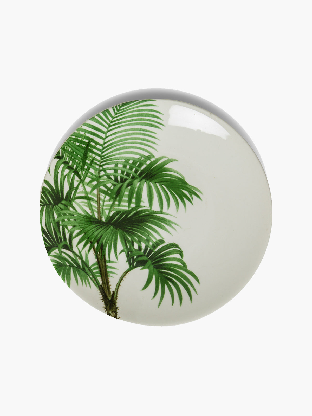 Dessert Plate Set Dessert Plate Set