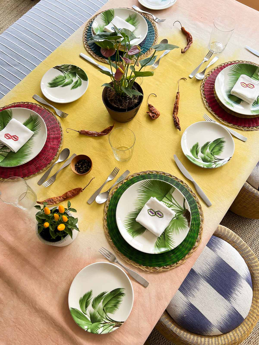 Dinner Plate Set