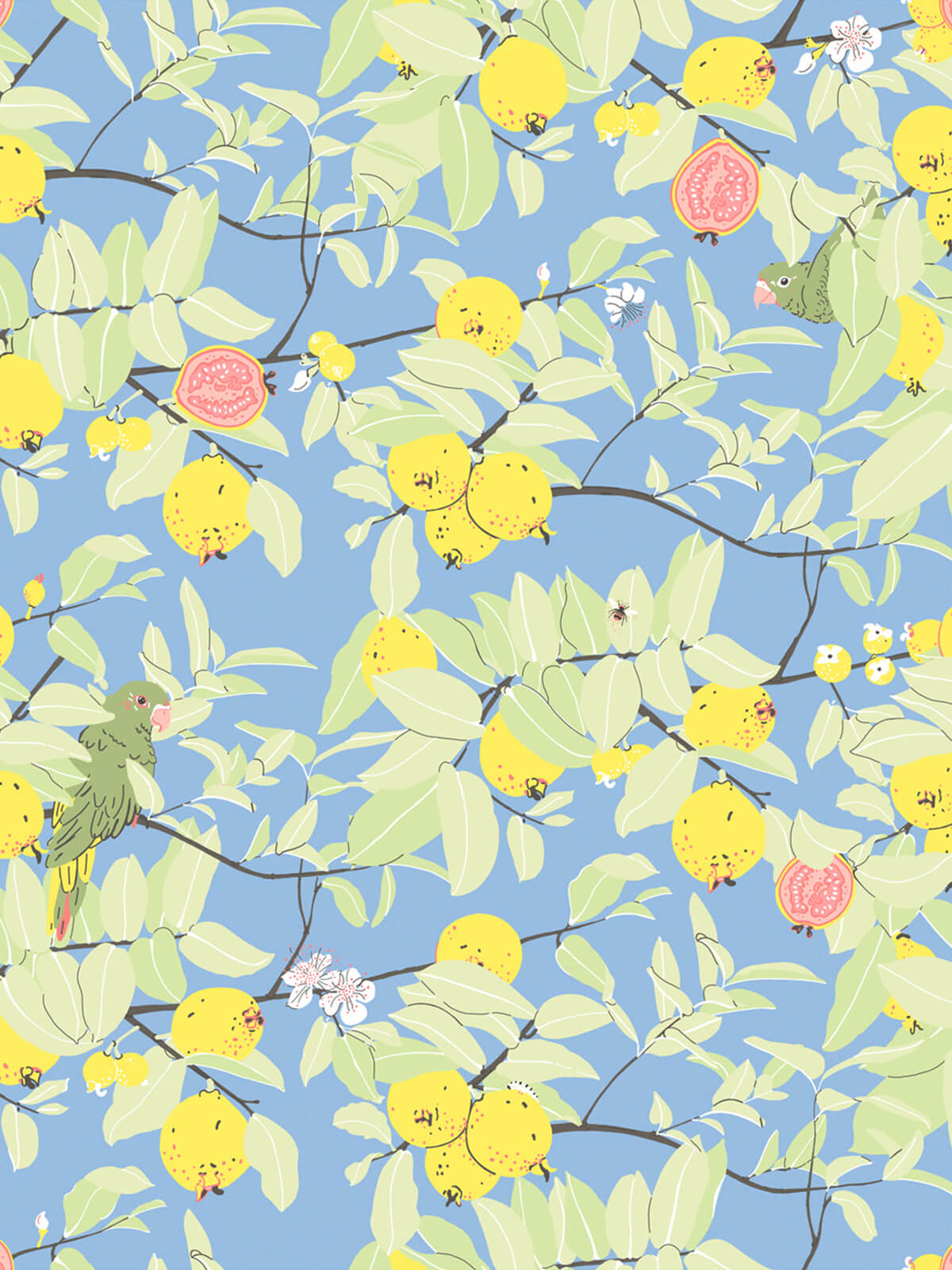 Guayaba Wallpaper | Perfect Blue Guayaba Wallpaper | Perfect Blue