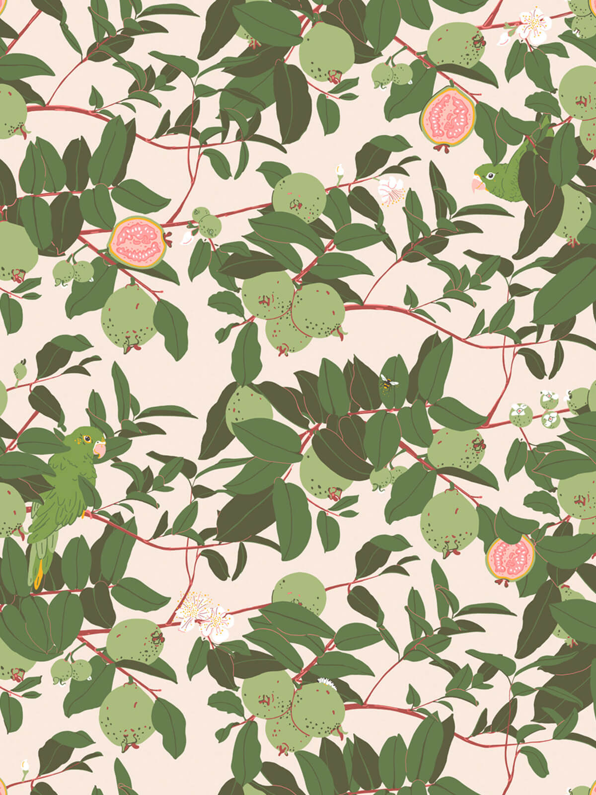 Guayaba Wallpaper | Pink Guayaba Wallpaper | Pink