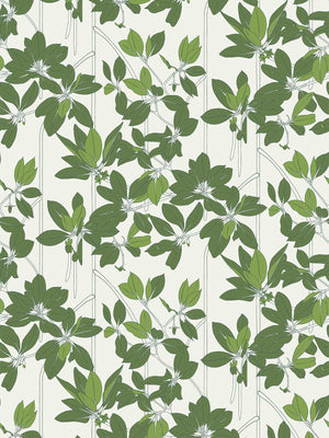 Mangle Wallpaper | Midday Mangle Wallpaper | Midday