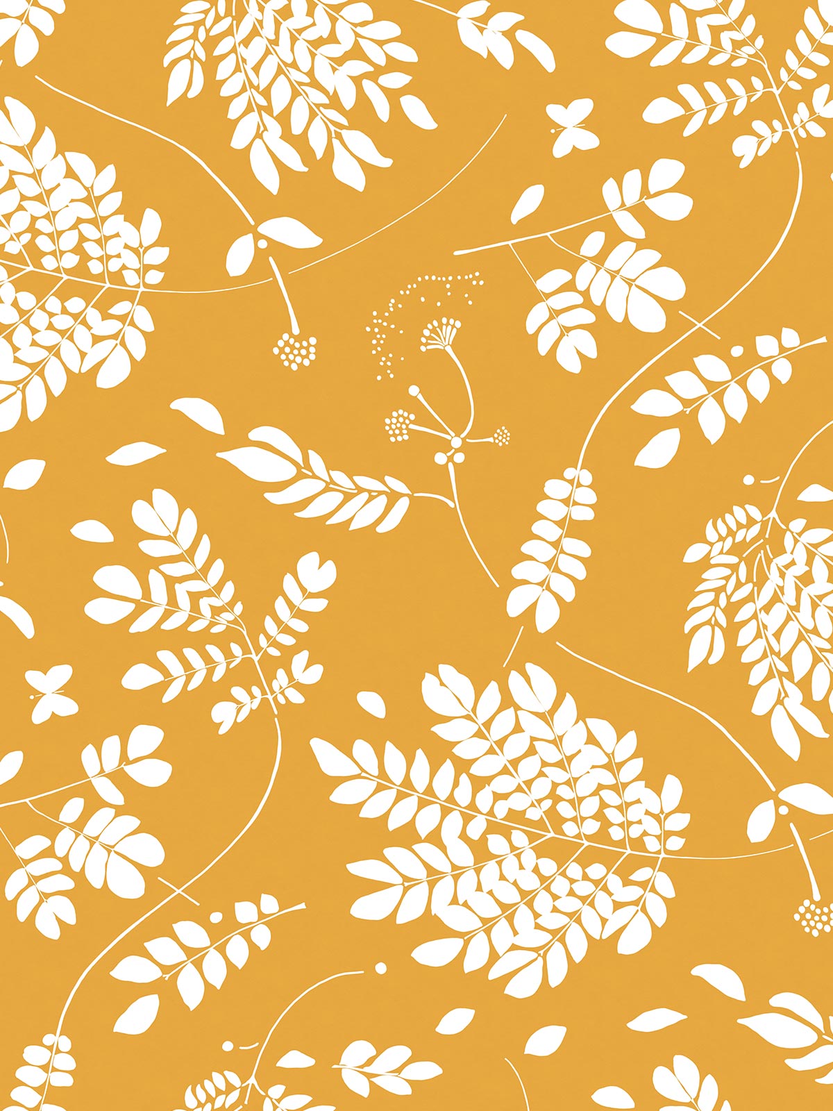 Saman Wallpaper | Amarillo Saman Wallpaper | Amarillo