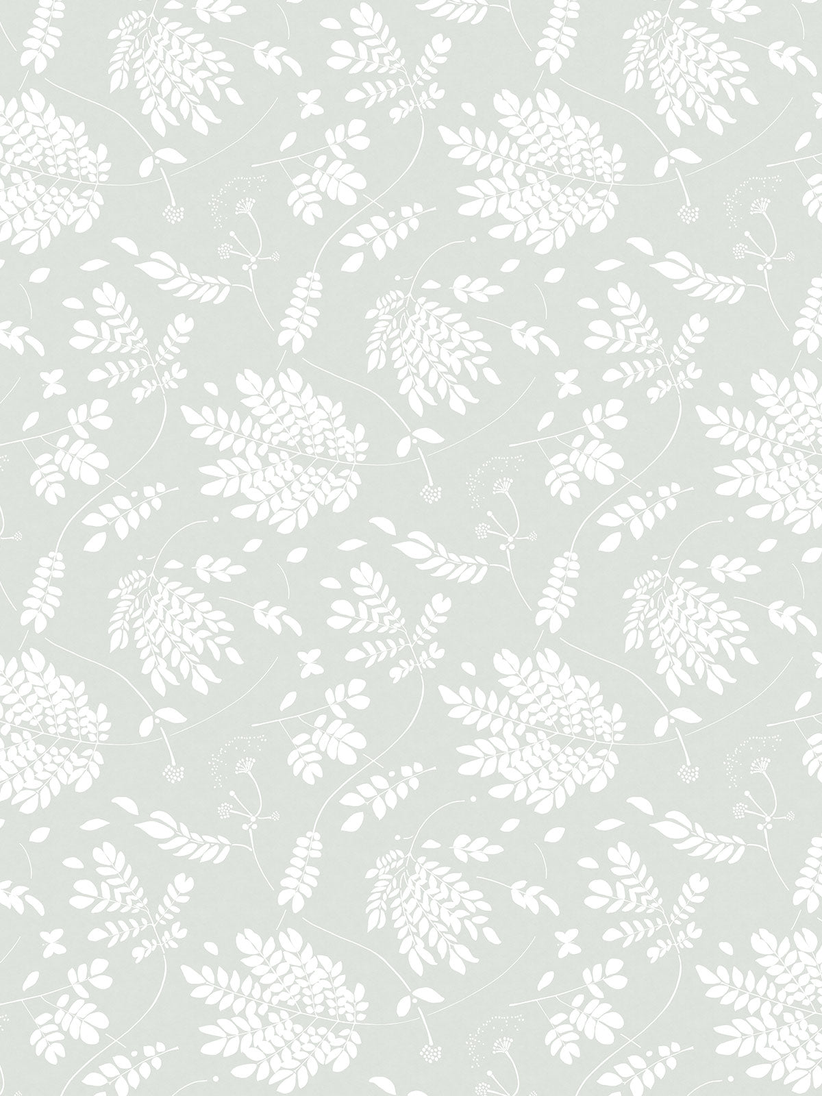 Saman Wallpaper | Foam Saman Wallpaper | Foam